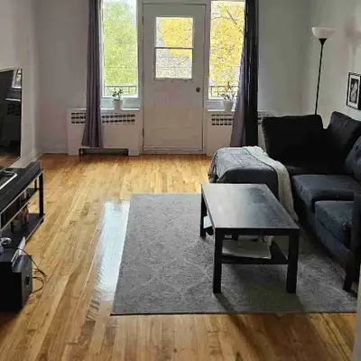 Bel appartement entièrement meublé, composé de 2 chambres et d’une salle de bain partagée. L’apparte...