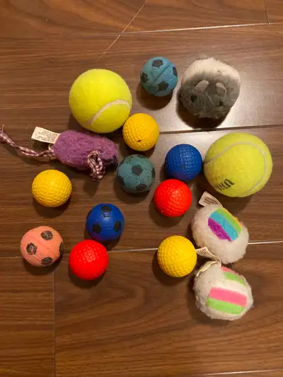 pet accessories for sell, View more