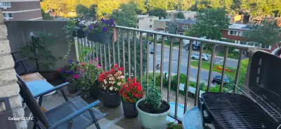 55, rue Laframboise, Saint-Laurent / 1 583 $/mois (month) ****Englisg follows ***** Je quitte le Qué...