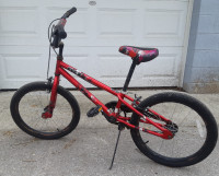 Youth BMX Bike