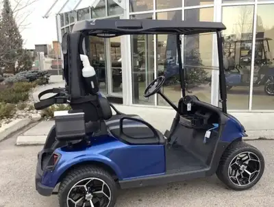 2017 EZGO RXV - electric, fully refurbished, and serviced, Includes New electric blue body, LED head...