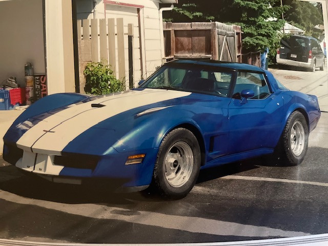 CORVETTE - 1981 in Classic Cars in Calgary