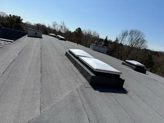 Toronto roofing service 62863233027457124