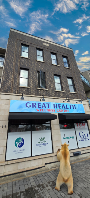 RMT massage/Relaxation massage/Acupuncture/ Osteopathy, View more