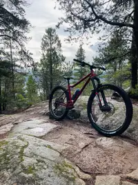 Steel Mountain Bike