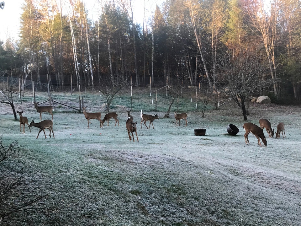 (Rare ) 150 Acres with Lake Front 1Hr North of Montreal, photo 9 of 10