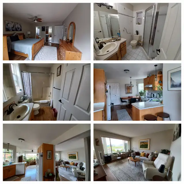 Snowbird alert !! in British Columbia in Canada - Image 2