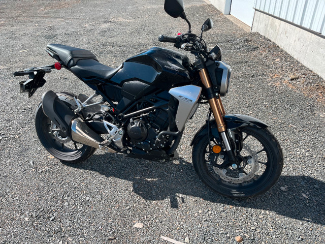 2022 Honda CB300R cocktail class racer for sale - mint in Street, Cruisers & Choppers in Fredericton - Image 3