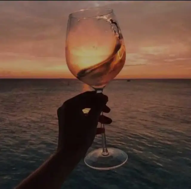 LIMOUSINES - WINE TOURS in Friendship & Networking in St. Catharines - Image 4