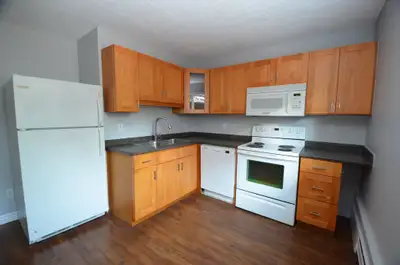 Renovated 1-bedroom downtown - Avail Aug 1 - 114 George