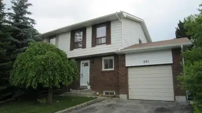 Mississauga Gorgeous 1 bdrm bsmt apt, View more