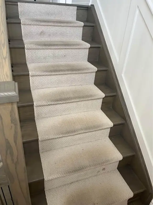 Carpet And Sofa Cleaning In Affordable Price in Rugs, Carpets & Runners in Oshawa / Durham Region - Image 4