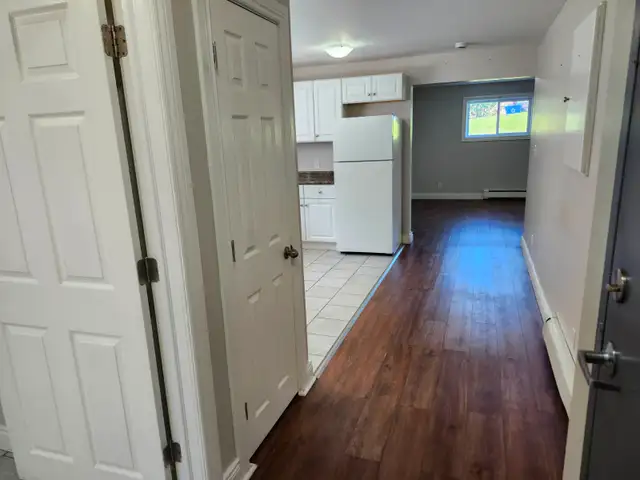 Large, 1 Bedroom, 1 bathroom, lower level apartment.