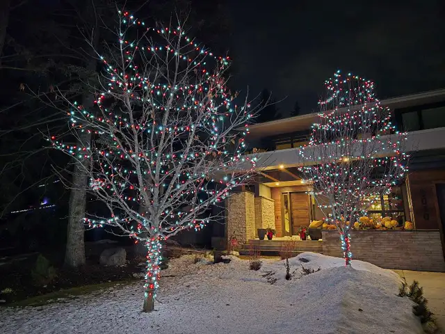 Christmas Light Installers Wanted in General Labour in Calgary - Image 7