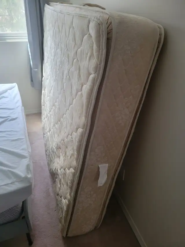 Free Queen Mattress and Spring box in Free Stuff in Oshawa / Durham Region - Image 3