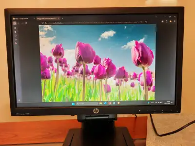 HP Compaq LA2206x Monitor, View more