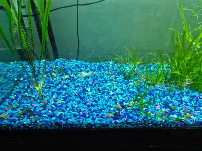 Lots of blue gravel for fish tank. Enough for a 100 to 150 gallon tank. Willing to sell in smaller q...