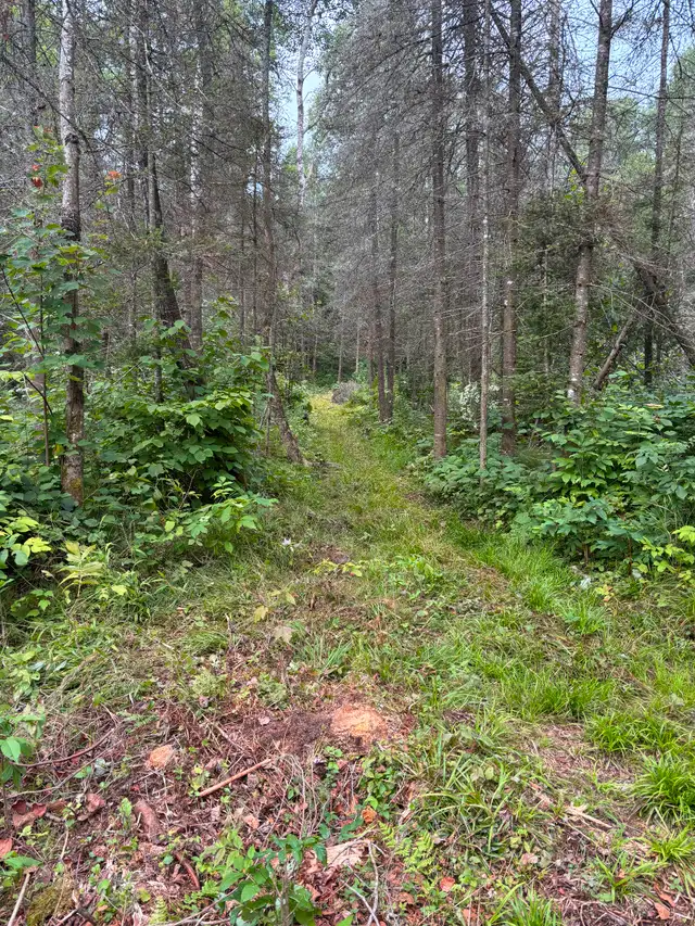 Land for sale near Whitefish63417637088769122