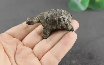 Miniature brass turtle figurine/ very detail / firm price , View more