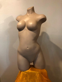 Mannequin H 31.5" L 16.5"