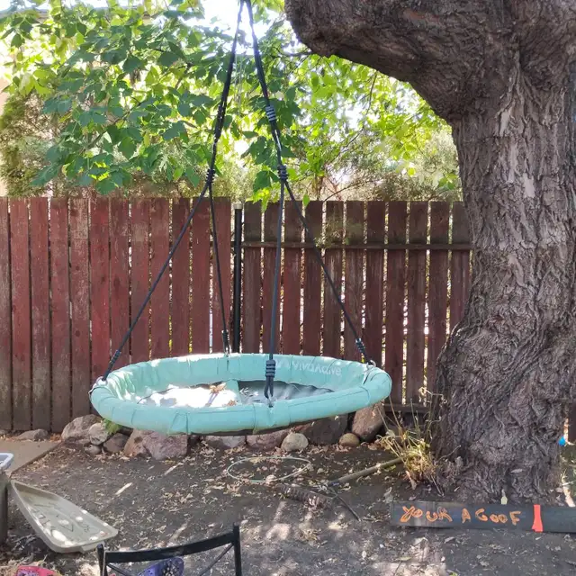 Tree Swing