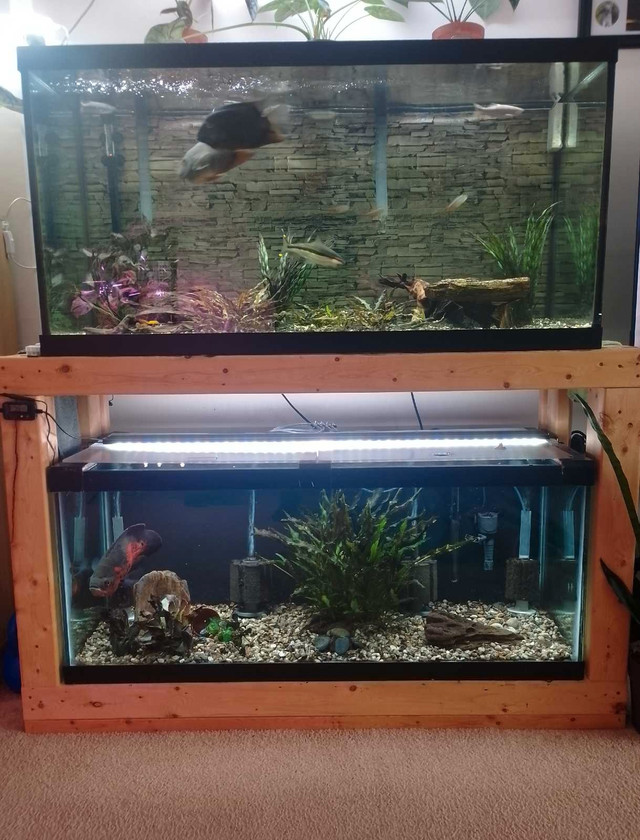 90 and 65 Gallon Fish Tanks For Sale!!! in Accessories in St. Catharines