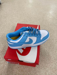 Nike Dunks Low Coast