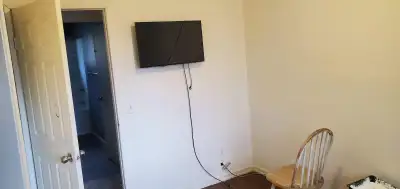 Room available now Whitehorn