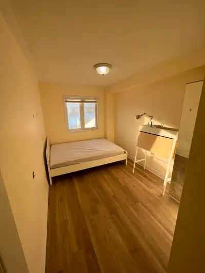 ROOM FOR RENT YORK UNIVERSITY