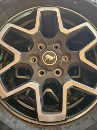 2023 Ford Bronco 17" Wheel Package