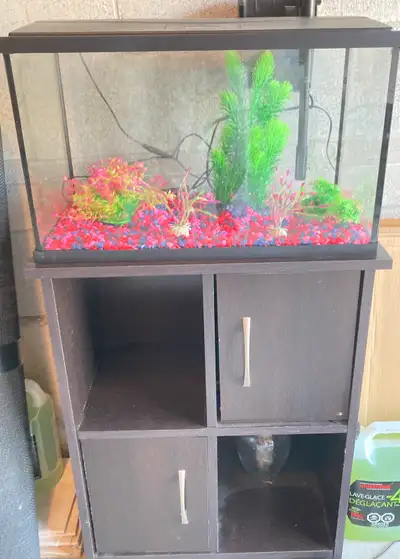 Fish Tank and accessories, View more