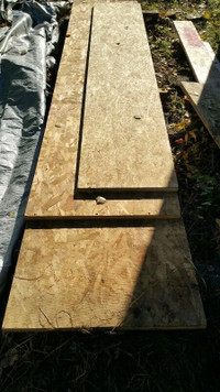 OSB Boards Sheeting - Several sizes.  E.C. (not used)