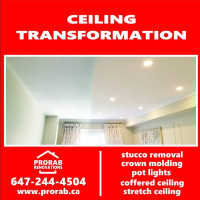 DUSTLESS Popcorn Ceiling Removal + Painting FREE ESTIMATES!