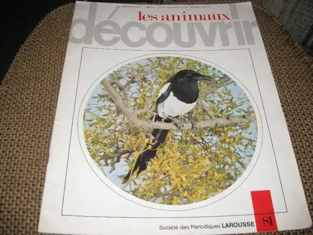 LIVRE EN ANGLAIS  - ZEBRA FINCHES  (PINSONS) - MERVIN F. ROBERTS in Arts & Collectibles in Laval / North Shore - Image 5