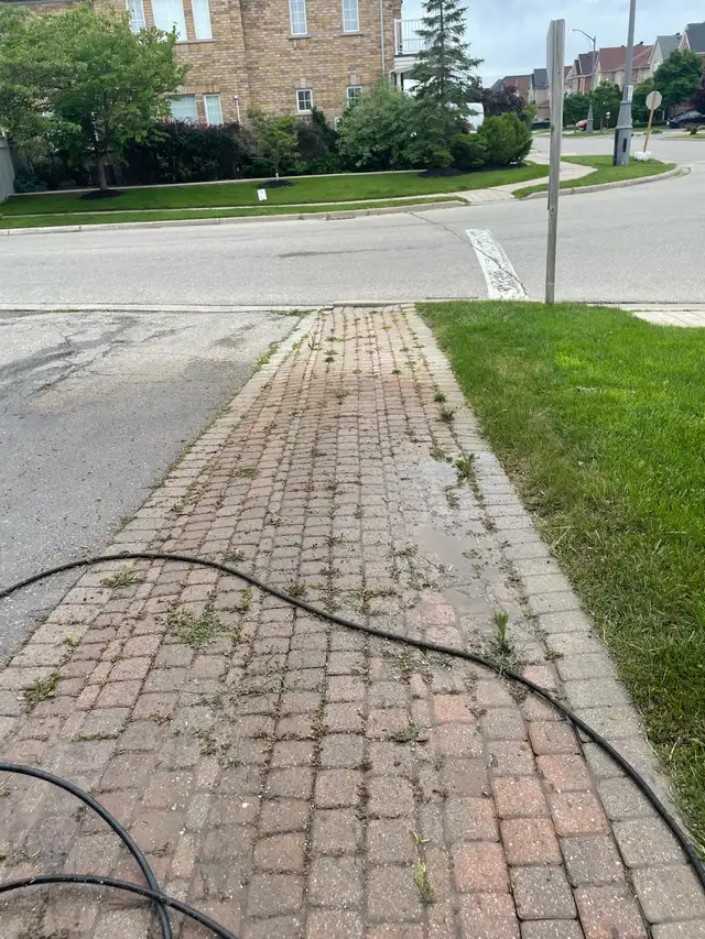 backyard cleaning, power wash, tree cut landscaping 62863723965185123