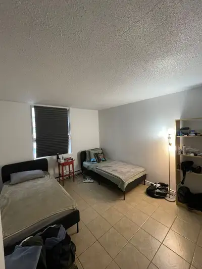 rental needed