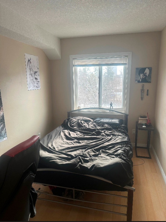 Private room with ensuite shower and toilet.  in Other in Kitchener / Waterloo