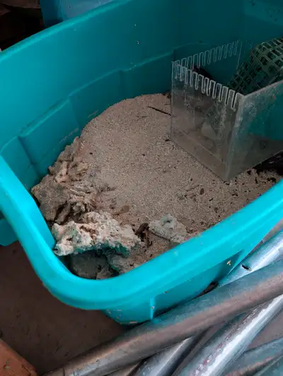 Saltwater dry rock and crushed coral for sale, Voir plus