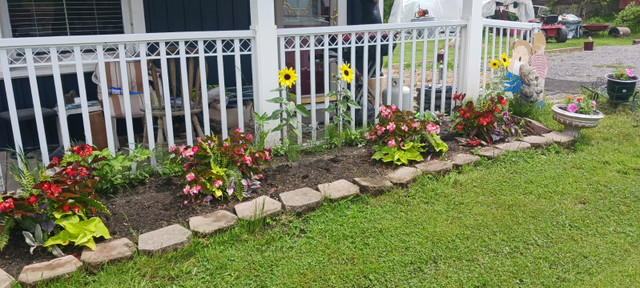 Cottage for rent ,2 day,weekly,monthly  Rice Lake in Ontario