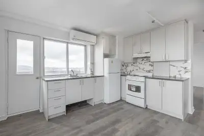 A 3 1/2 for rent next to Pie IX station