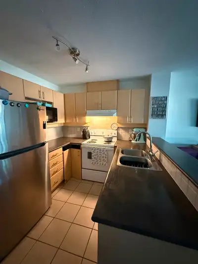 Fantastic 1 bedroom 1 bathroom Condo for Rent