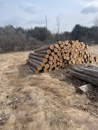 Cedar posts and rails