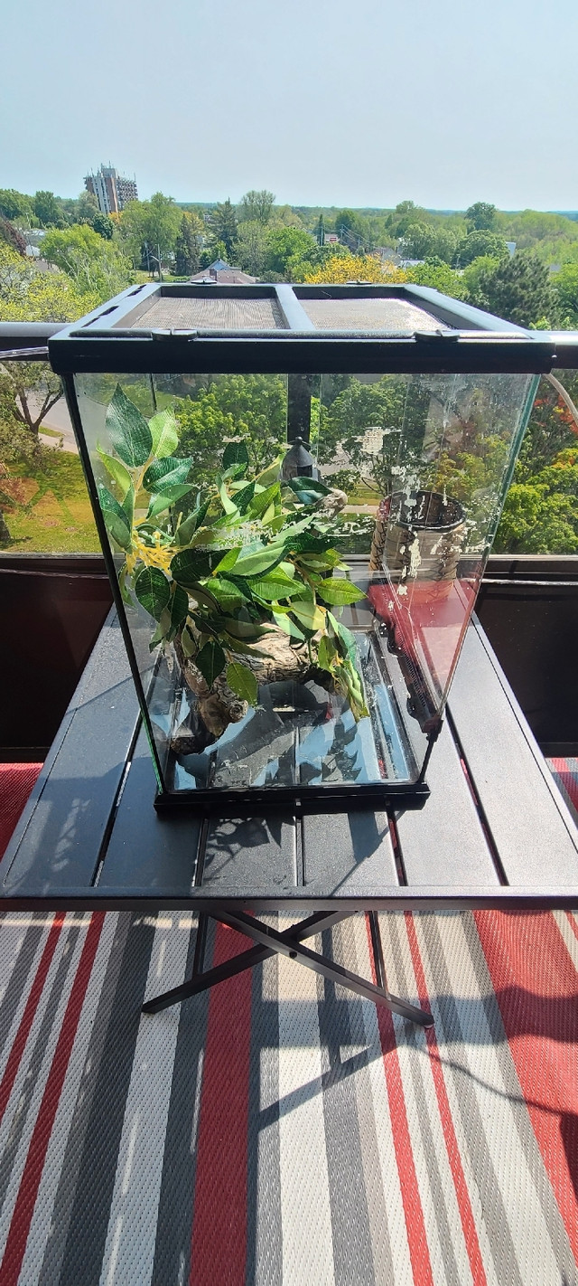 Price drop* Small exoterra terrarium - $80 obo in Reptiles & Amphibians for Rehoming in Belleville - Image 2