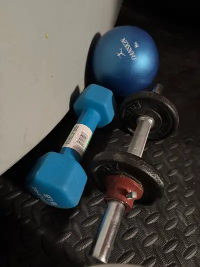 2 10lb and a 8lb ball $40 obo Thanks
