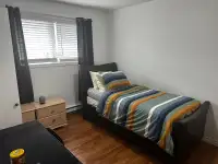 Room for rent in a shared house 
