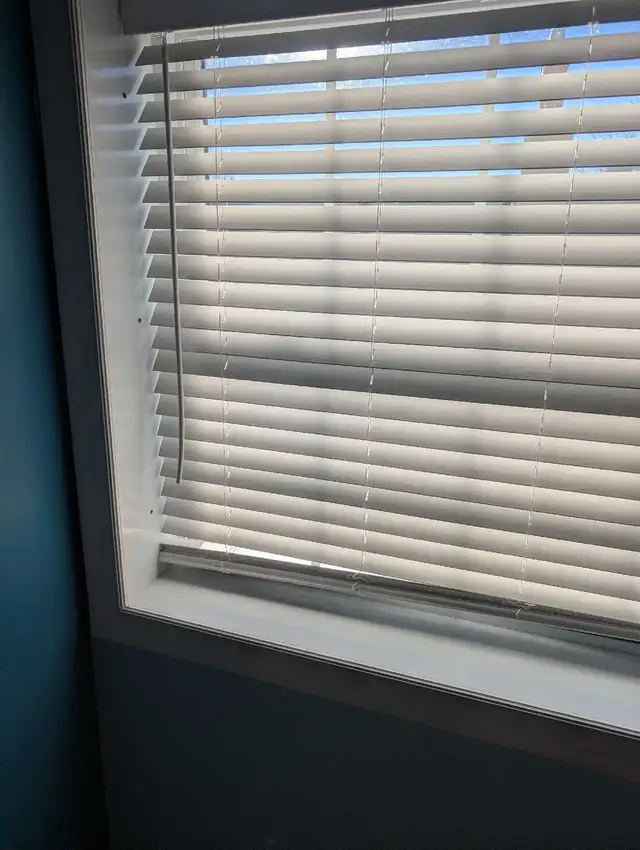 Construction company for hire64551239593090121