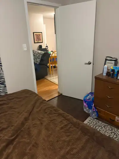 1 bedroom apartment for rent. Female Asian international student welcome.