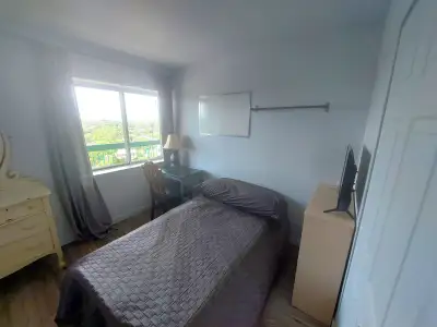 Une chambre meublée se libère pour le 1er juillet dans notre colocation du Plateau - Centre-Ville. L...