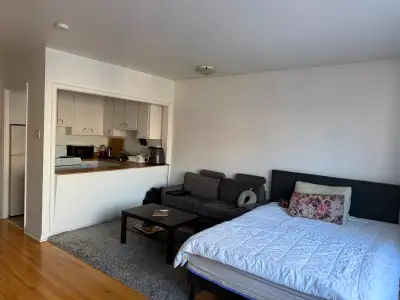 Studio apartment available via lease assignment, located on 1420 Rue Saint-Mathieu in Downtown Montr...