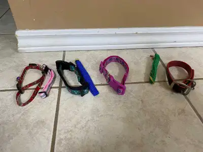 Dog or puppy or pet collar size small , View more